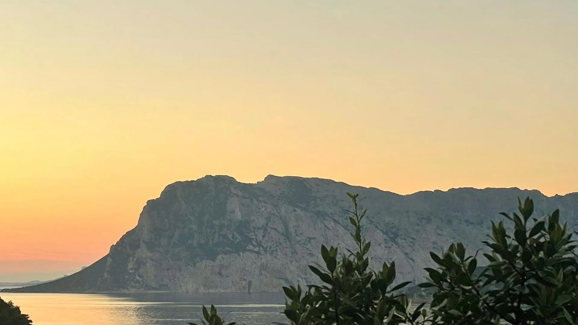 Punta Est Trilocale Splendida Vista Mare Apartment Capo Coda Cavallo