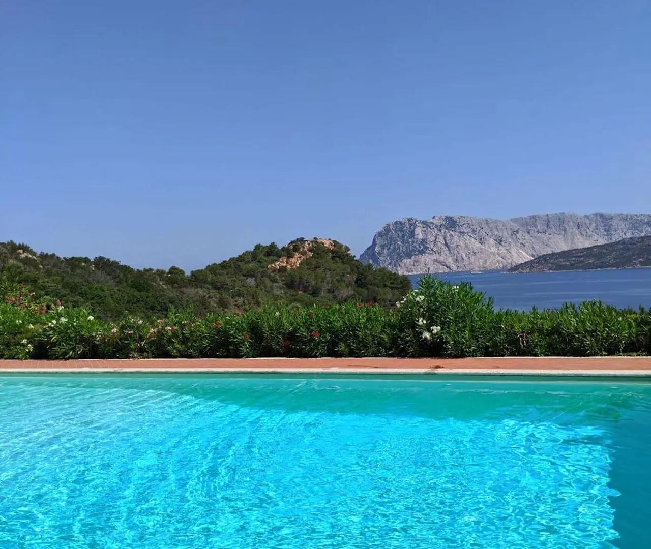 Punta Est Trilocale Splendida Vista Mare Apartment Capo Coda Cavallo Italy